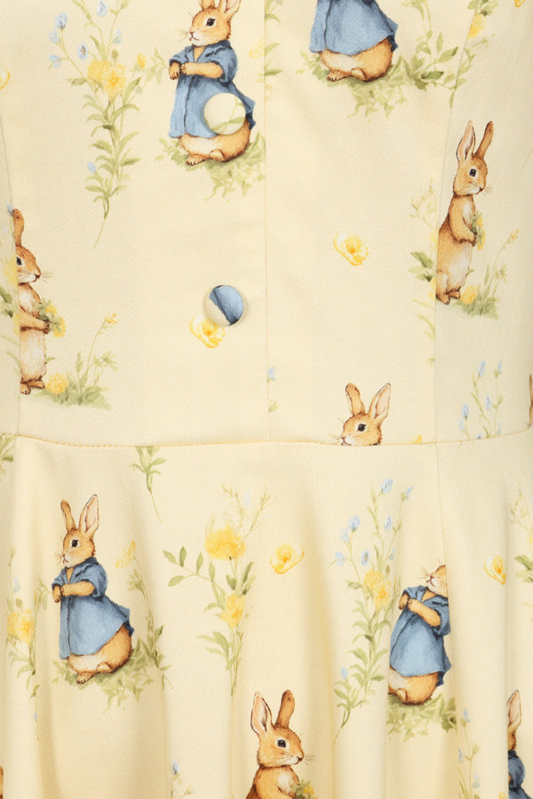 Peter Rabbit Swing Dress