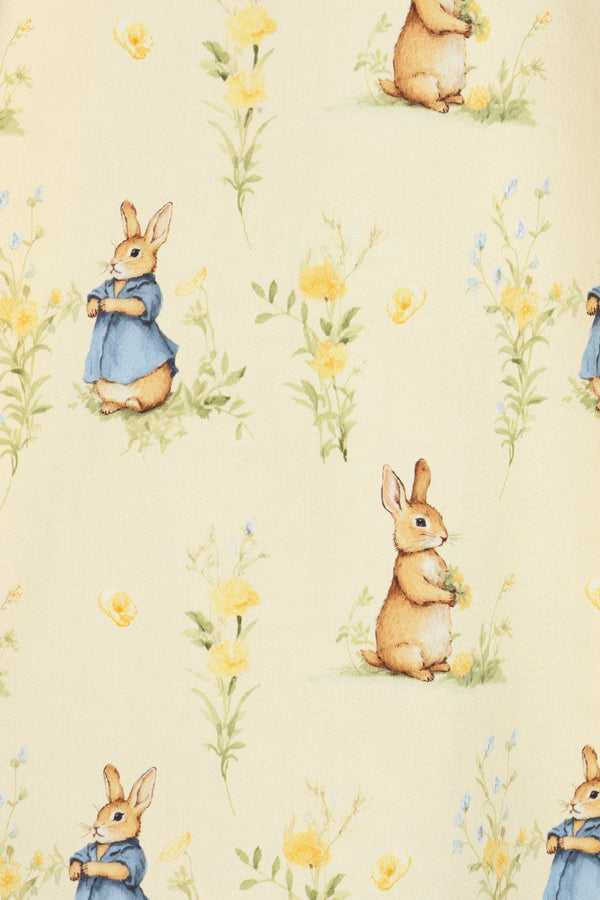 Peter Rabbit Swing Dress
