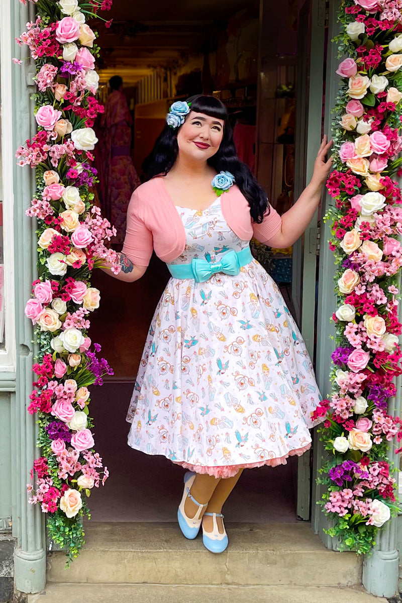 Glass Slipper Swing Dress