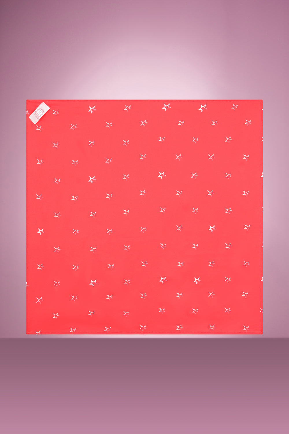 Glory Glory Hallelujah Elvis Swing Dress with Scarf