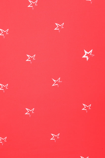 Glory Glory Hallelujah Elvis Swing Dress with Scarf