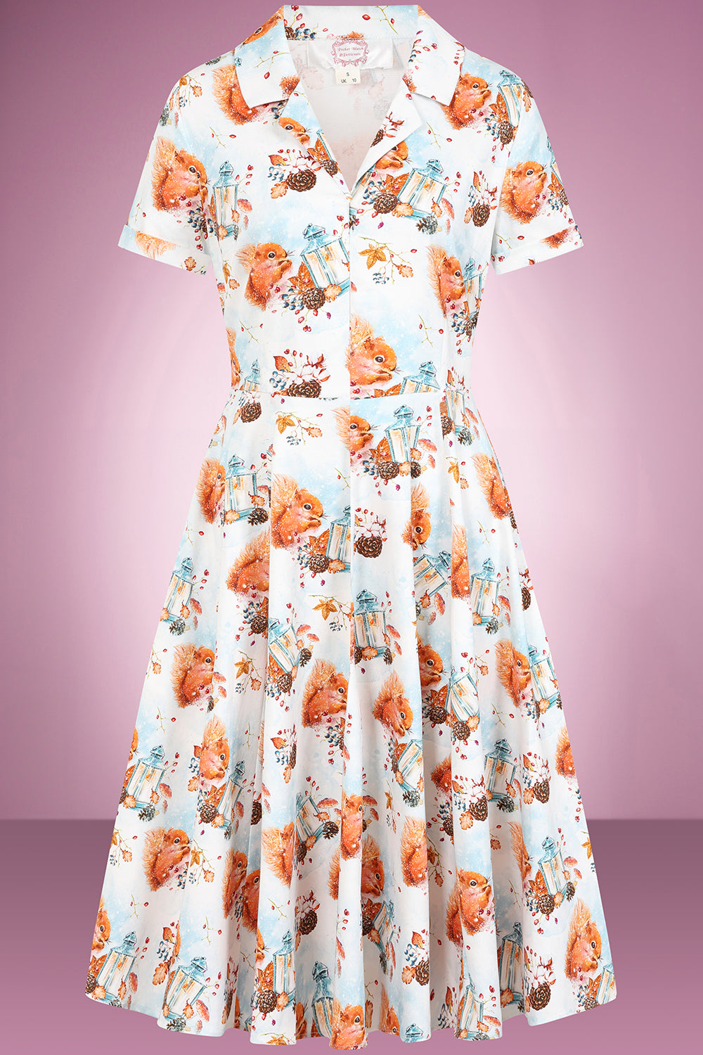 Nutty of You Swing Dress PRE ORDER