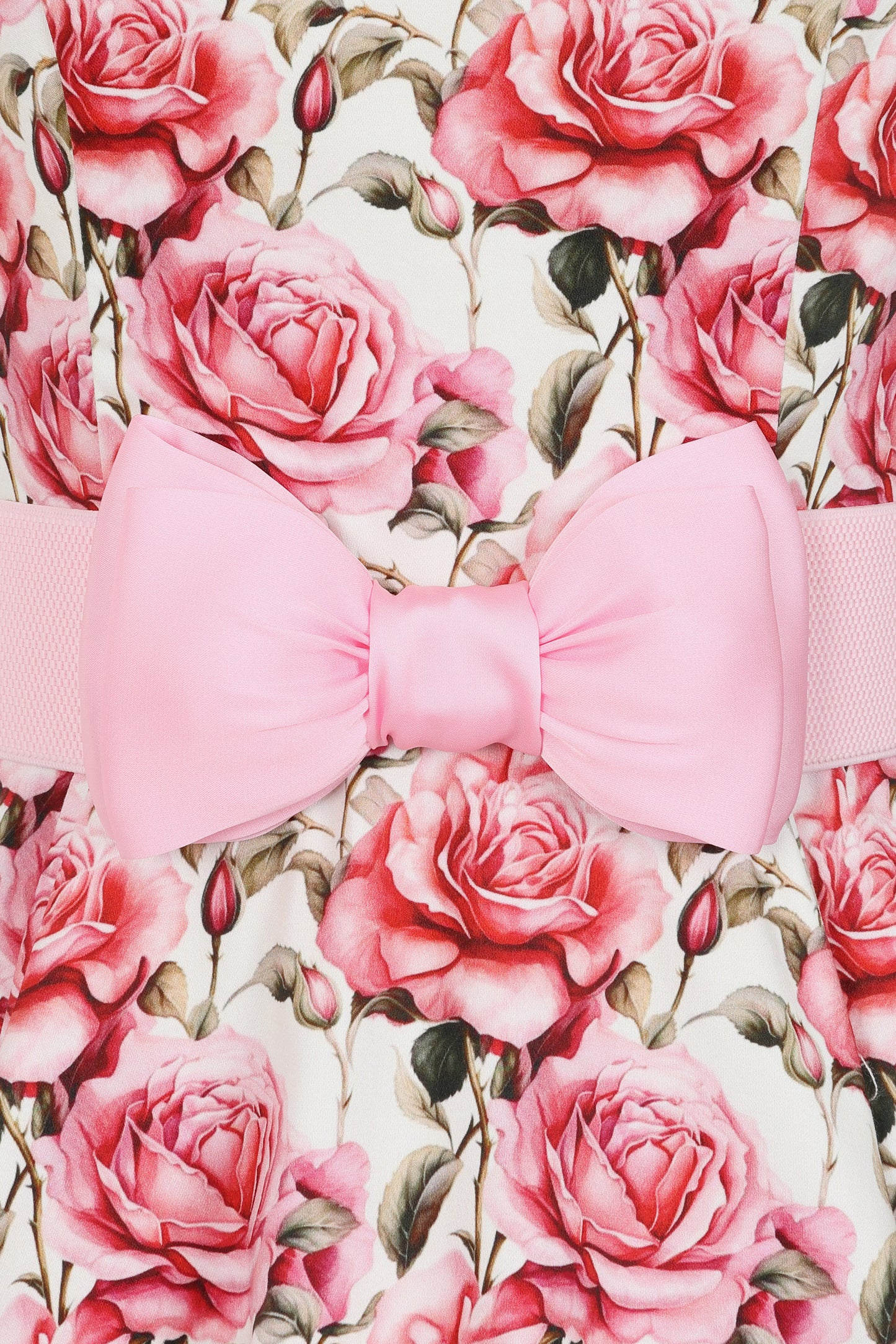 Rena Rose Swing Dress