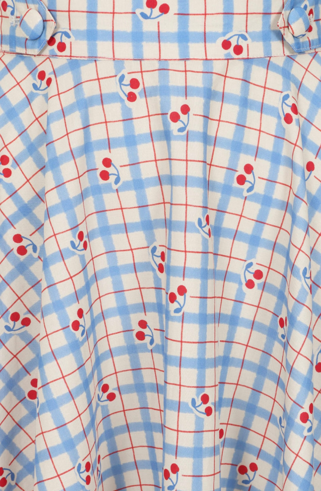 Blue Cherry Berry Check Skirt